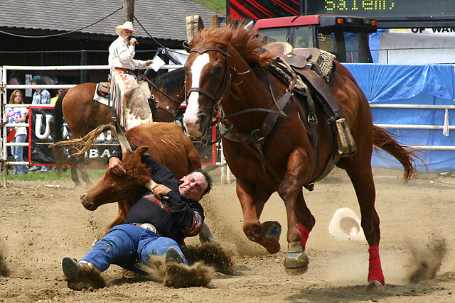 Steer Wrestling - 02