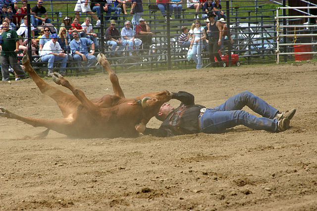 Steer Wrestling - 04
