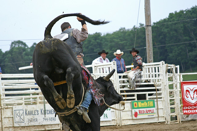 Bull Riding - 02