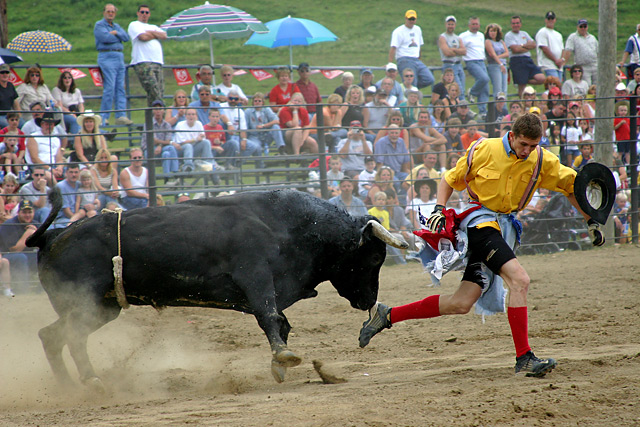 That's going to hurt!