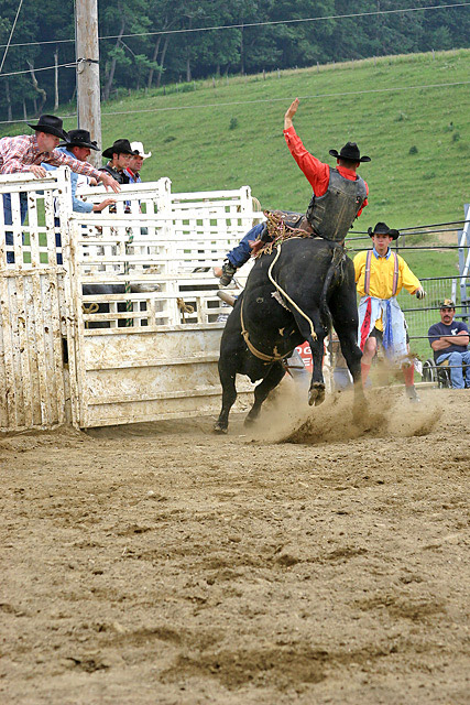 Bull Riding - 03