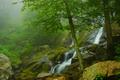 Dark Hollow Falls III