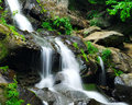 Dark Hollow Falls IV