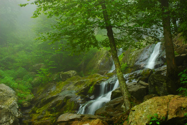 Dark Hollow Falls III