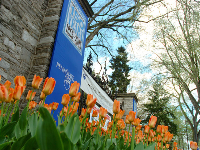 allen-street-gatesSM.jpg