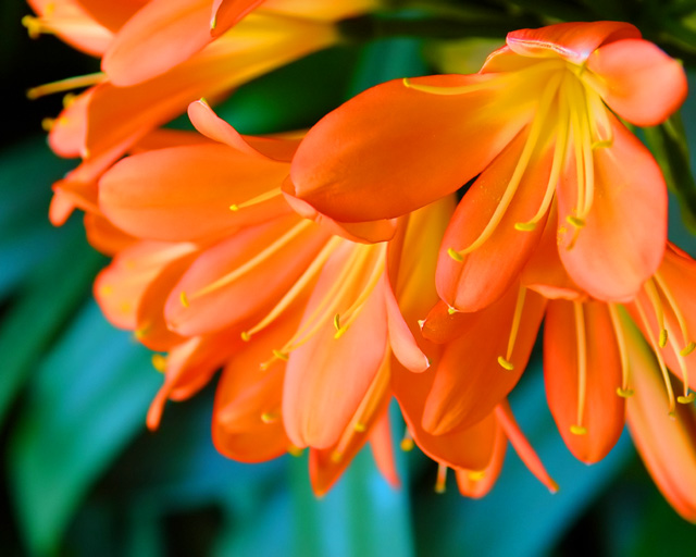 Radiance