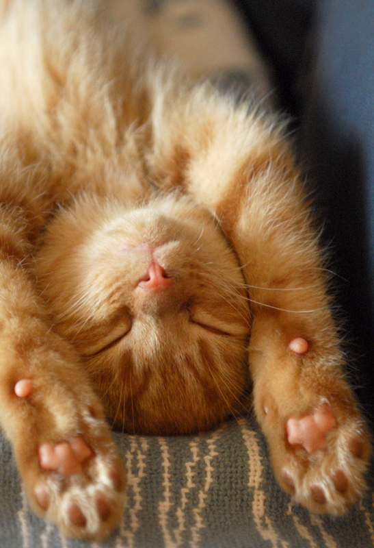 Stretchin' out