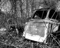 Old Truck (BW)