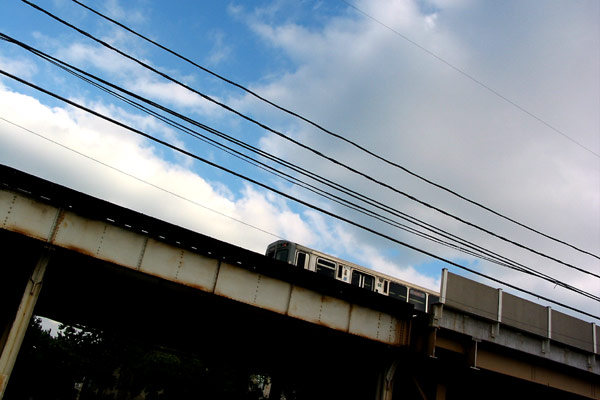The El