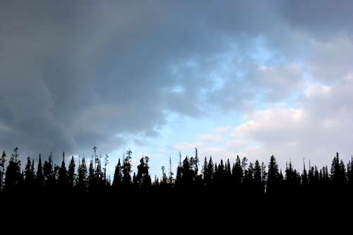Bridger-Teton National Forest