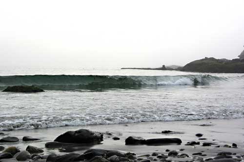 The Maine Coast