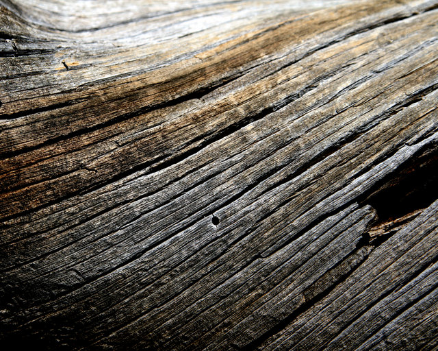 Wood Grain