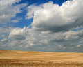 Montana Farmland (8x10)