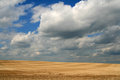 Montana Farmland (4X6)