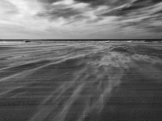 DSC03400-dp