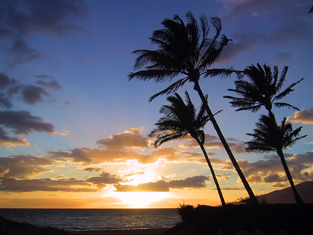 Maui-sunset