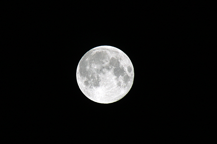 IMG_1093cs720.jpg