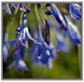 bluee.jpg
