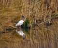 _MG_7659.jpg