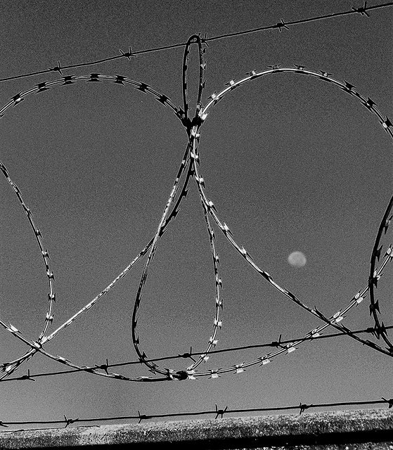 wire.jpg