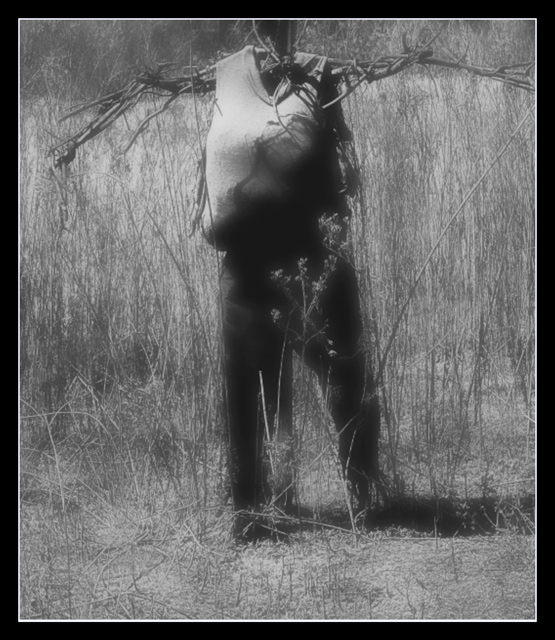scarecrow.jpg