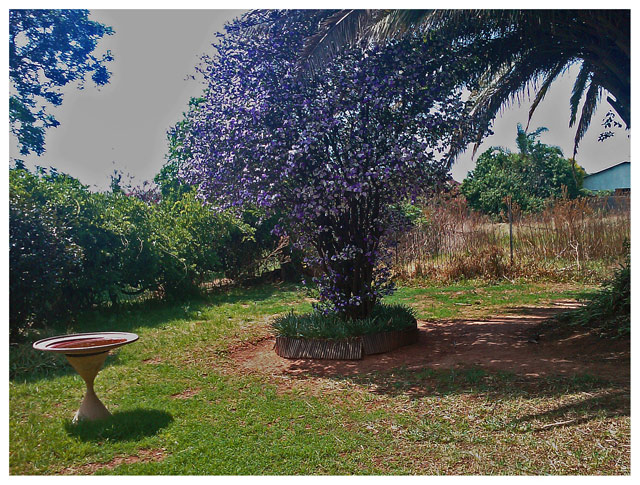 IMAG0003.jpg