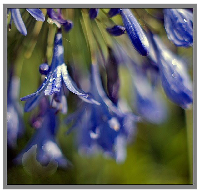 bluee.jpg