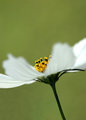 IMG_9677_filtered5x7.jpg