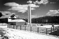 Blue Mountain Quarter Horse Barn