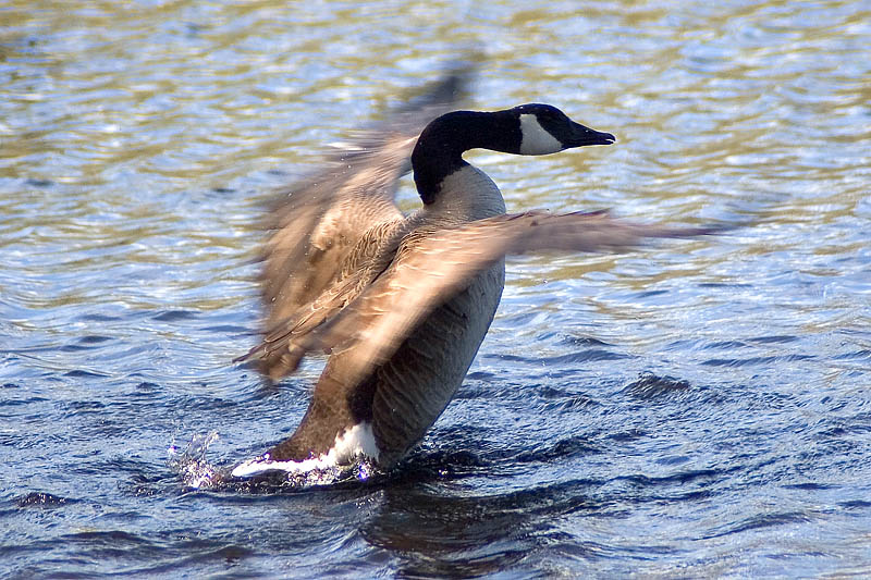 IMG_2860small.jpg