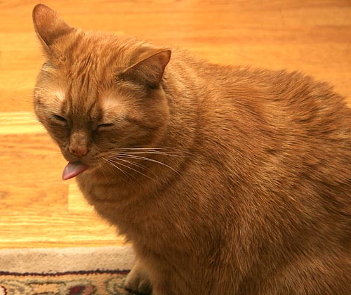 spencertongue.jpg
