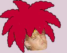bob.jpg
