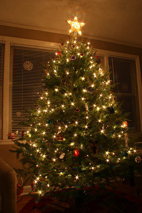 xmastree.jpg