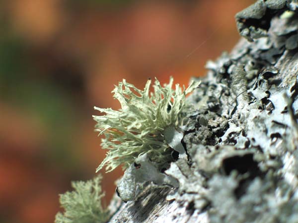 175_7548.jpg