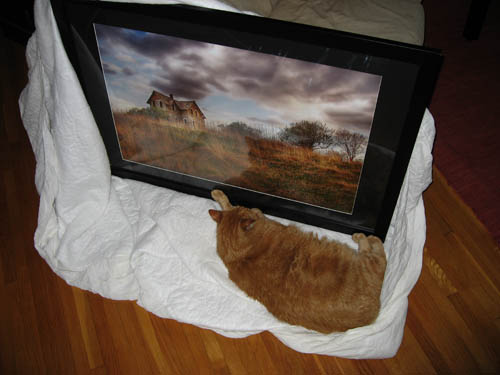 spencerphoto.jpg