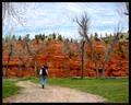 Choosen Path