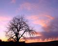 Sunset 2