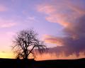 Sunset 3
