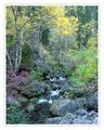 Spearfish Canyon Creek