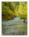 Spearfish Canyon Creek