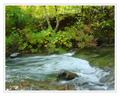 Spearfish Canyon Creek