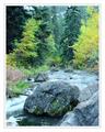 Spearfish Canyon Creek