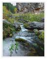 Iron Creek, South Dakoto