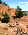 Devils Tower 3