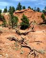 Devils Tower 2