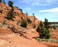 Devils Tower 4