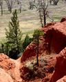 Devils Tower 6