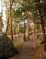 Devils Tower 10