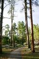 Devils Tower 13