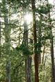 Devils Tower 14